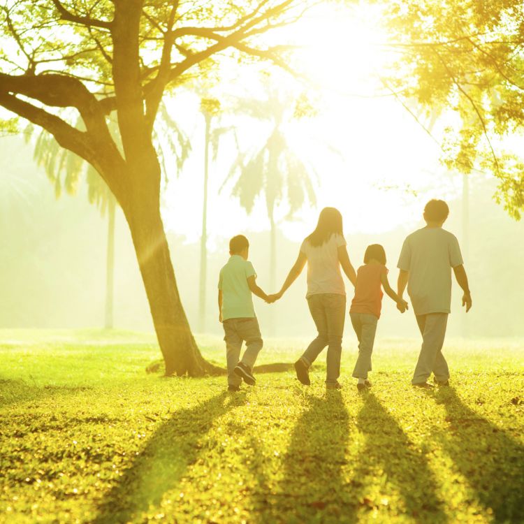 Famille qui marche dans un parc ensoleillé